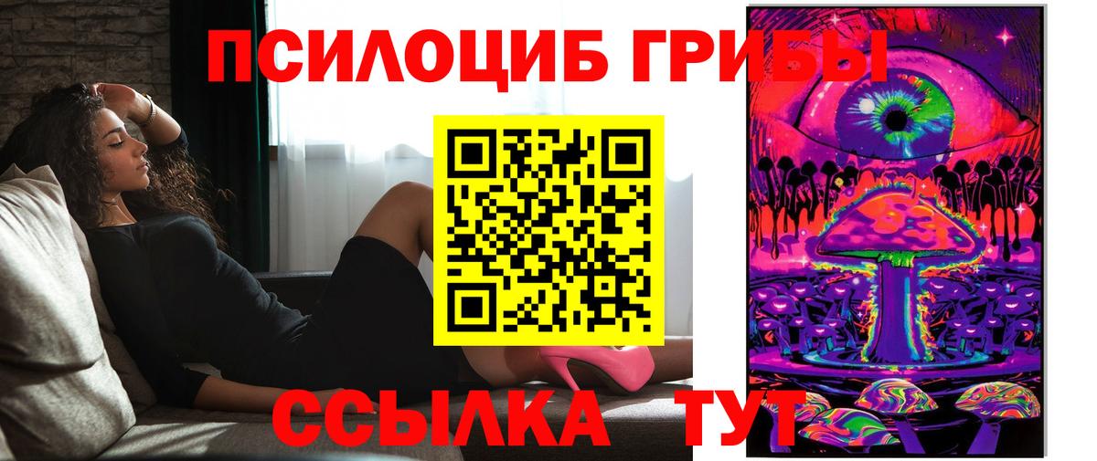 Псилоцибиновые грибы Cubensis  купить наркотики цена  Ревда  Вход с VPN 